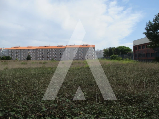 Terreno para Venda em Oliveira do Bairro Foto 2