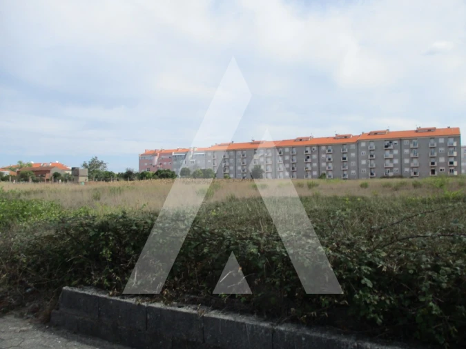 Terreno para Venda em Oliveira do Bairro Foto 3