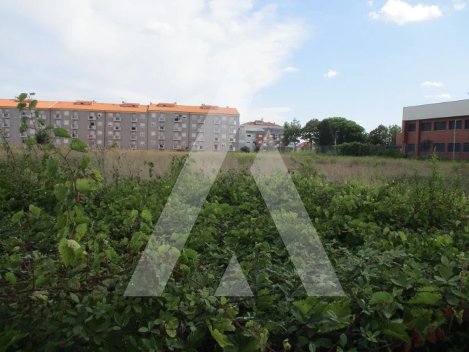 Terreno para Venda em Oliveira do Bairro Foto 5