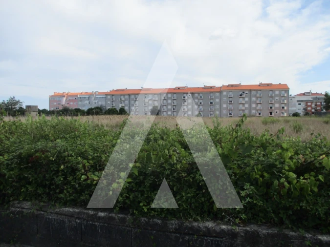 Terreno para Venda em Oliveira do Bairro Foto 7