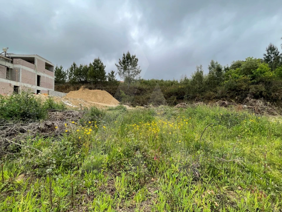 Terreno para Venda em Pinheiro da Bemposta, Travanca e Palmaz Foto 2
