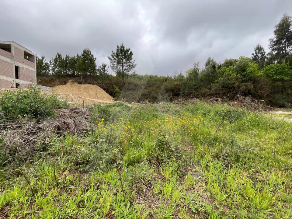 Terreno para Venda em Pinheiro da Bemposta, Travanca e Palmaz Foto 4