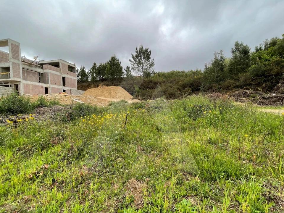 Terreno para Venda em Pinheiro da Bemposta, Travanca e Palmaz Foto 9