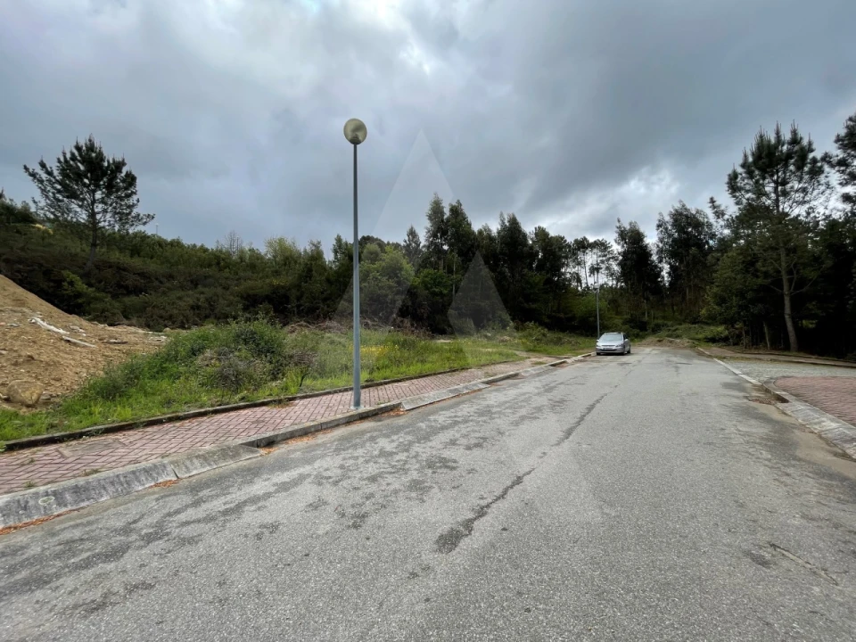 Terreno para Venda em Pinheiro da Bemposta, Travanca e Palmaz Foto 11