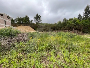 Terreno para Venda em Pinheiro da Bemposta, Travanca e Palmaz