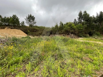 Terreno para Venda em Pinheiro da Bemposta, Travanca e Palmaz