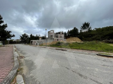 Terreno para Venda em Pinheiro da Bemposta, Travanca e Palmaz