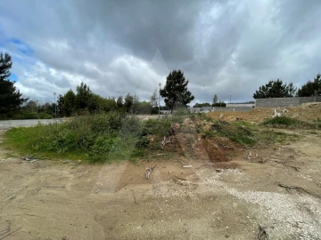 Terreno para Venda em Pinheiro da Bemposta, Travanca e Palmaz