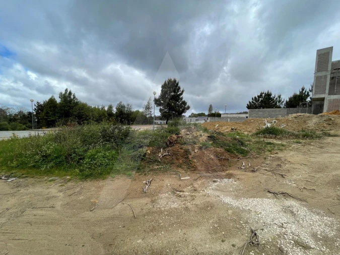 Terreno para Venda em Pinheiro da Bemposta, Travanca e Palmaz Foto 12