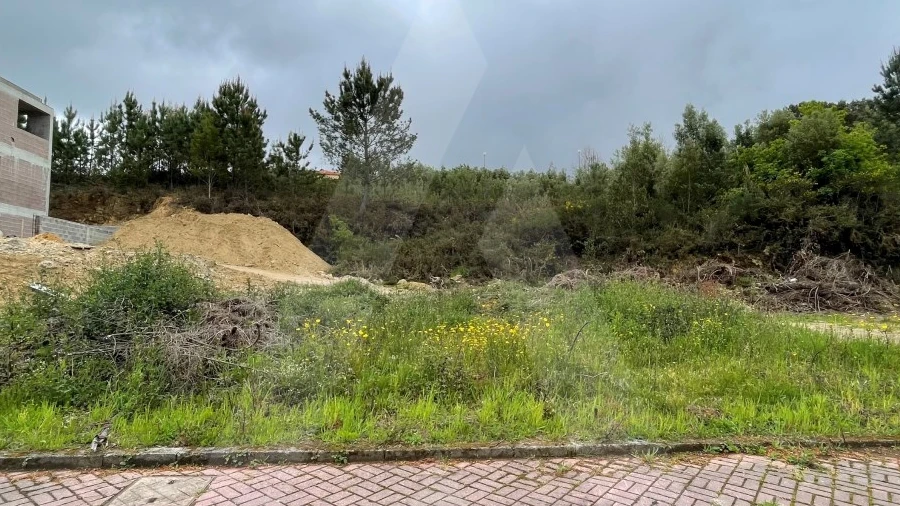Terreno para Venda em Pinheiro da Bemposta, Travanca e Palmaz