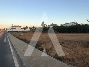 Terreno para Venda em Sangalhos