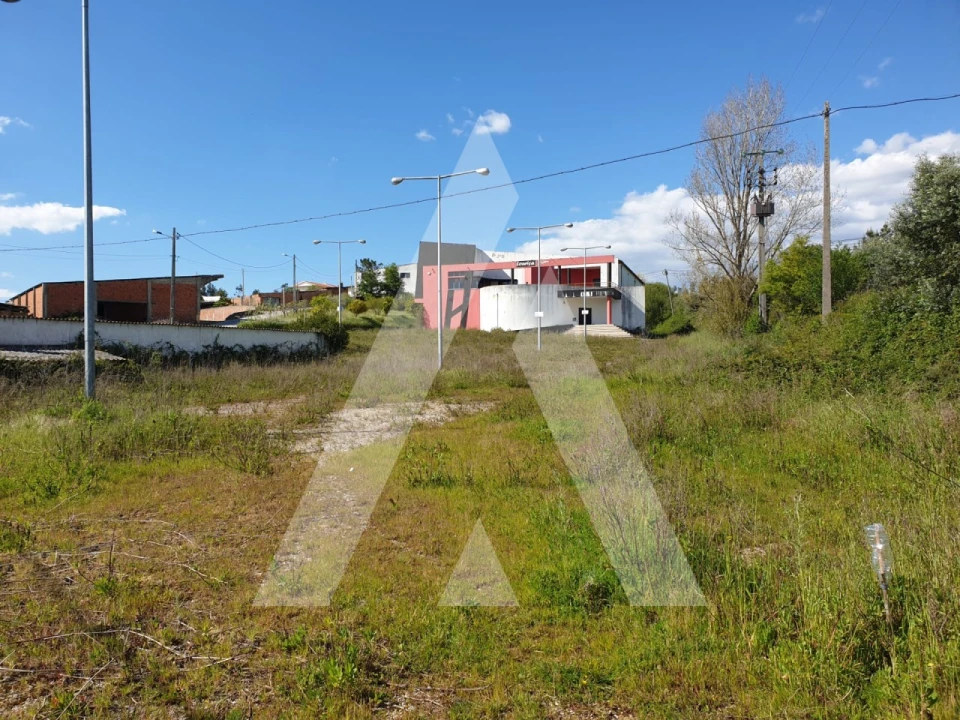 Negócio para Venda em Louriçal Foto 3