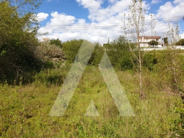 Negócio para Venda em Louriçal