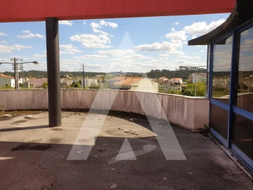 Negócio para Venda em Louriçal