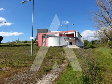 Negócio para Venda em Louriçal