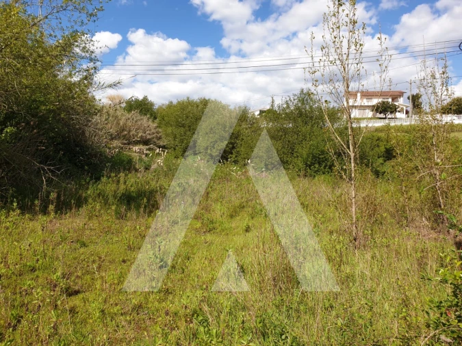 Negócio para Venda em Louriçal Foto 23