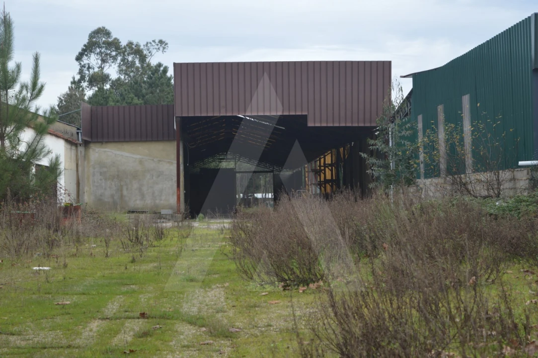 Armazém para Venda em Vilarinho do Bairro Foto 3