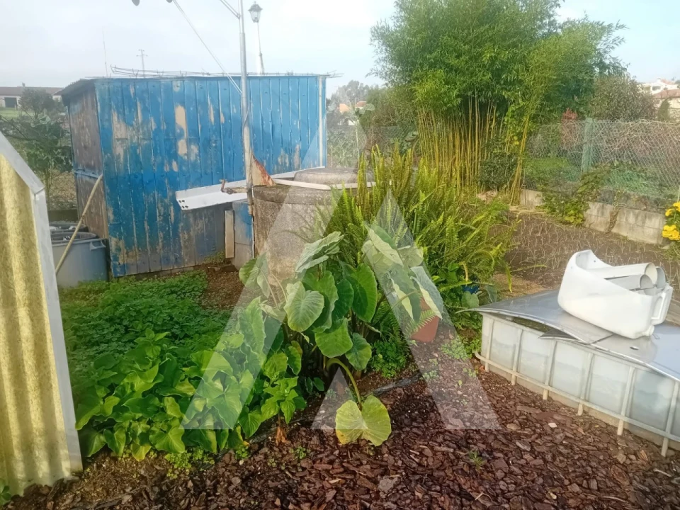 Moradia T4 para Venda em Oliveira do Bairro Foto 37