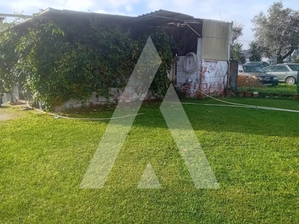 Moradia T4 para Venda em Oliveira do Bairro Foto 39