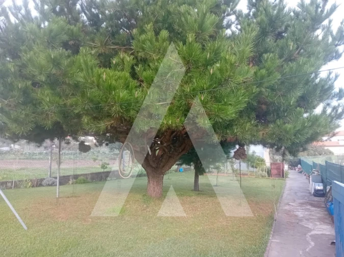 Moradia T4 para Venda em Oliveira do Bairro Foto 35