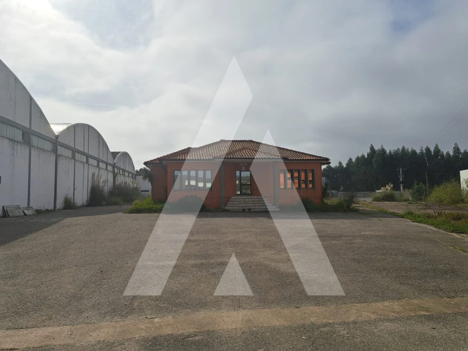 Armazém para Venda em Águeda e Borralha Foto 4