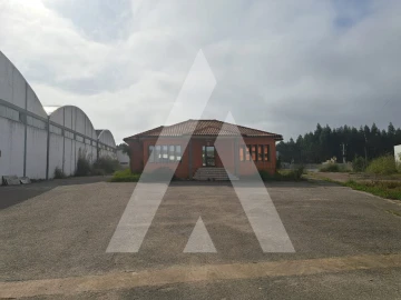 Armazém para Venda em Águeda e Borralha