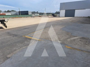 Armazém para Venda em Águeda e Borralha