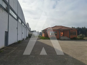 Armazém para Venda em Águeda e Borralha