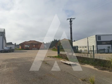Armazém para Venda em Águeda e Borralha