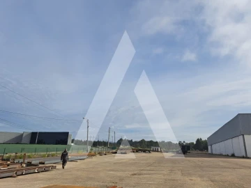 Armazém para Venda em Águeda e Borralha
