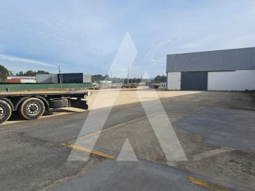 Armazém para Venda em Águeda e Borralha
