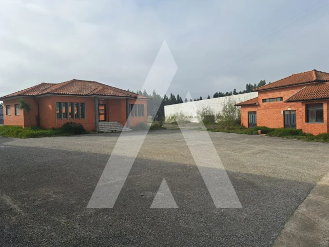 Armazém para Venda em Águeda e Borralha Foto 3