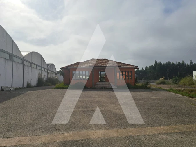 Armazém para Venda em Águeda e Borralha Foto 4