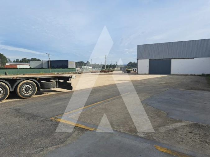 Armazém para Venda em Águeda e Borralha Foto 13