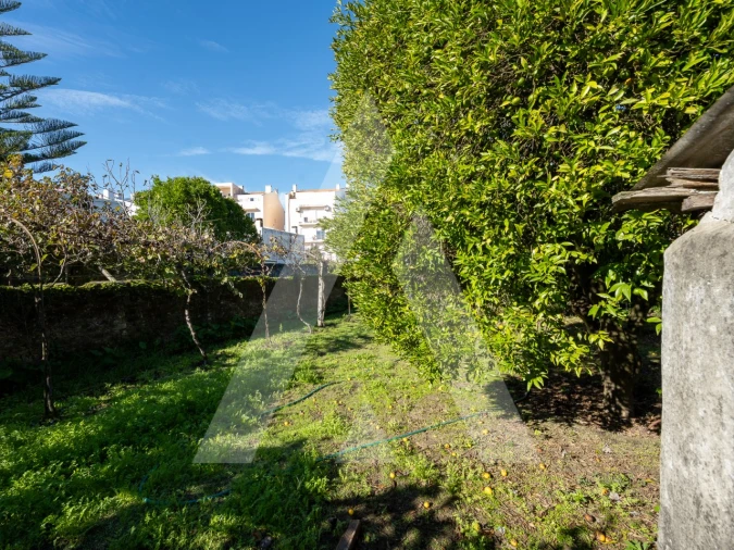 Moradia T4 para Venda em Ovar, São João, Arada e São Vicente de Pereira Jusã Foto 34