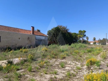 Terreno para Venda em Oliveirinha