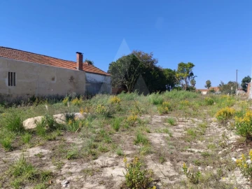 Terreno para Venda em Oliveirinha