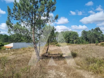 Terreno para Venda em Figueira de Lorvão