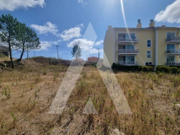 Terreno para Venda em Figueira de Lorvão