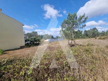 Terreno para Venda em Figueira de Lorvão