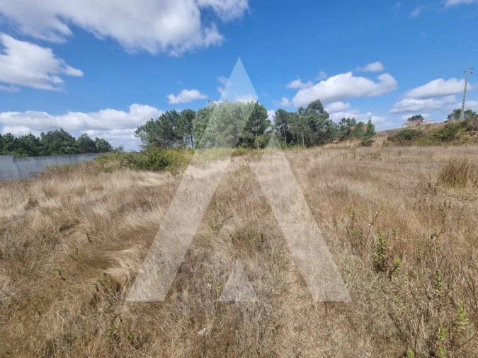 Terreno para Venda em Figueira de Lorvão Foto 4