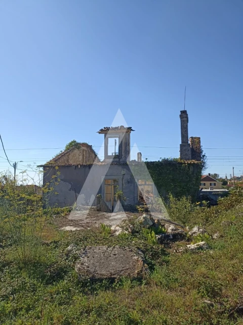 Terreno para Venda em Carreço