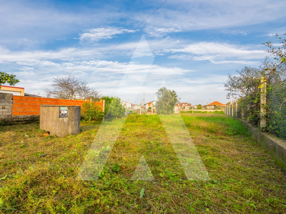 Terreno para Venda em Murtosa Foto 6