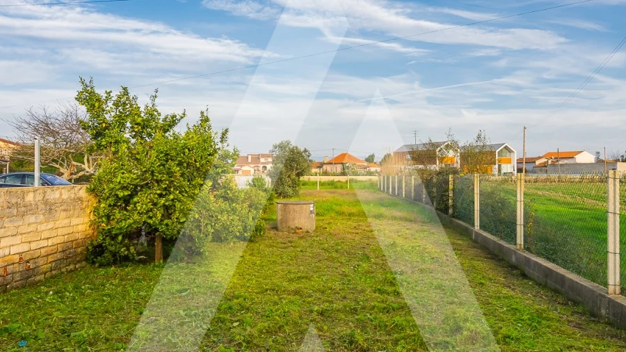 Terreno para Venda em Murtosa