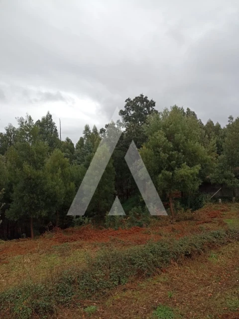 Terreno para Venda em Nogueira, Meixedo e Vilar de Murteda
