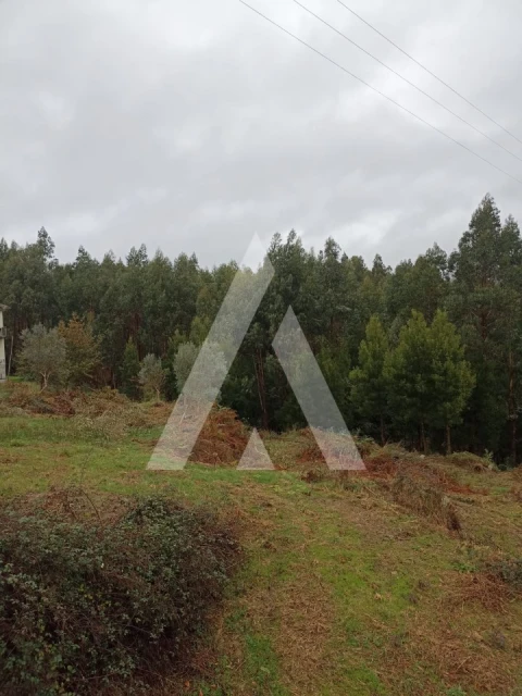 Terreno para Venda em Nogueira, Meixedo e Vilar de Murteda