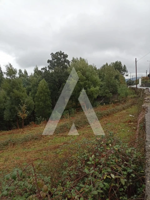 Terreno para Venda em Nogueira, Meixedo e Vilar de Murteda
