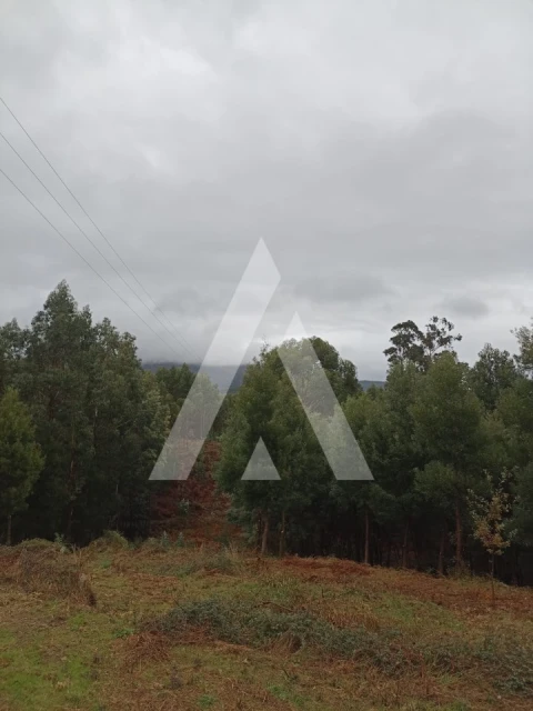 Terreno para Venda em Nogueira, Meixedo e Vilar de Murteda