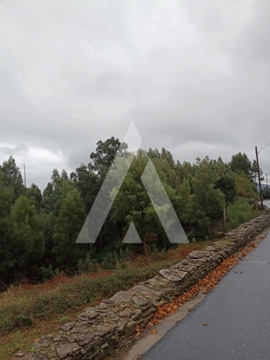 Terreno para Venda em Nogueira, Meixedo e Vilar de Murteda Foto 3