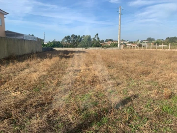 Terreno para Venda em Aradas